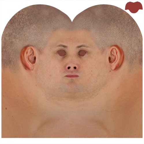 Male 03 / Head Texture Map