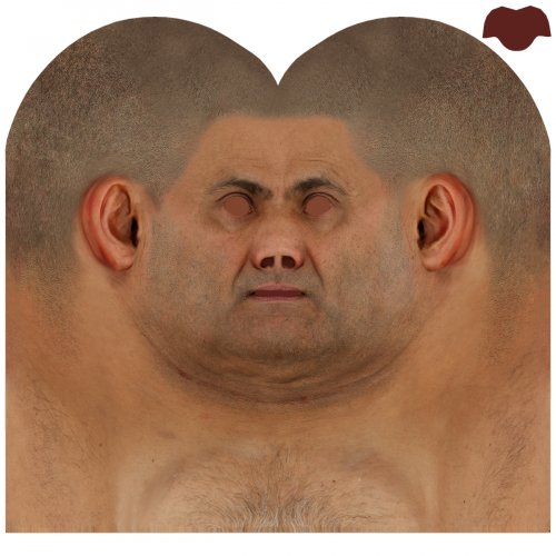 Male 06 / Head Texture Map