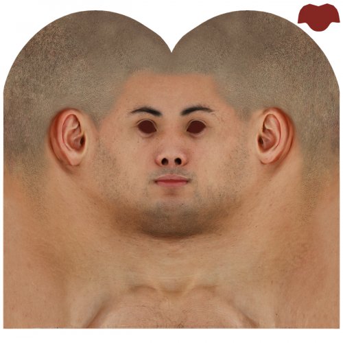 Male 07 / Head Texture Map