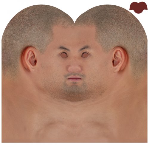 Male 08 / Head Texture Map