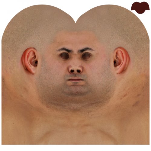 Male 10 / Head Texture Map