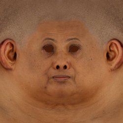 Female Head Texture maps