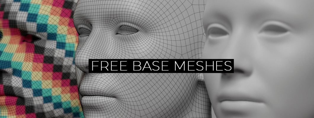 Free Base Mesh