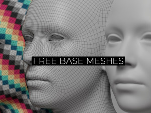 Free Base Mesh