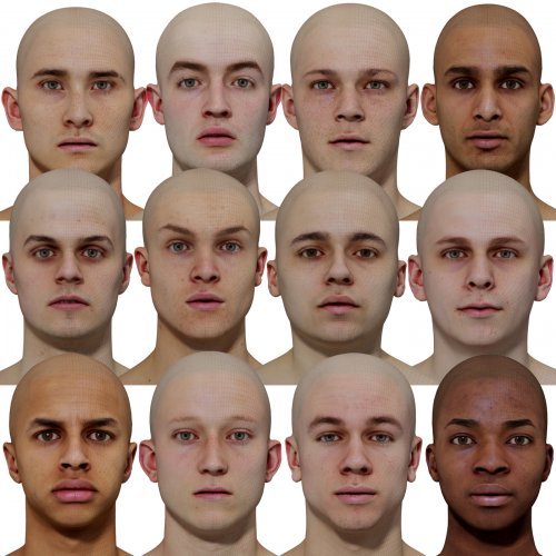 Male 3D model Bundle / 12 x Retopologised Head Scans