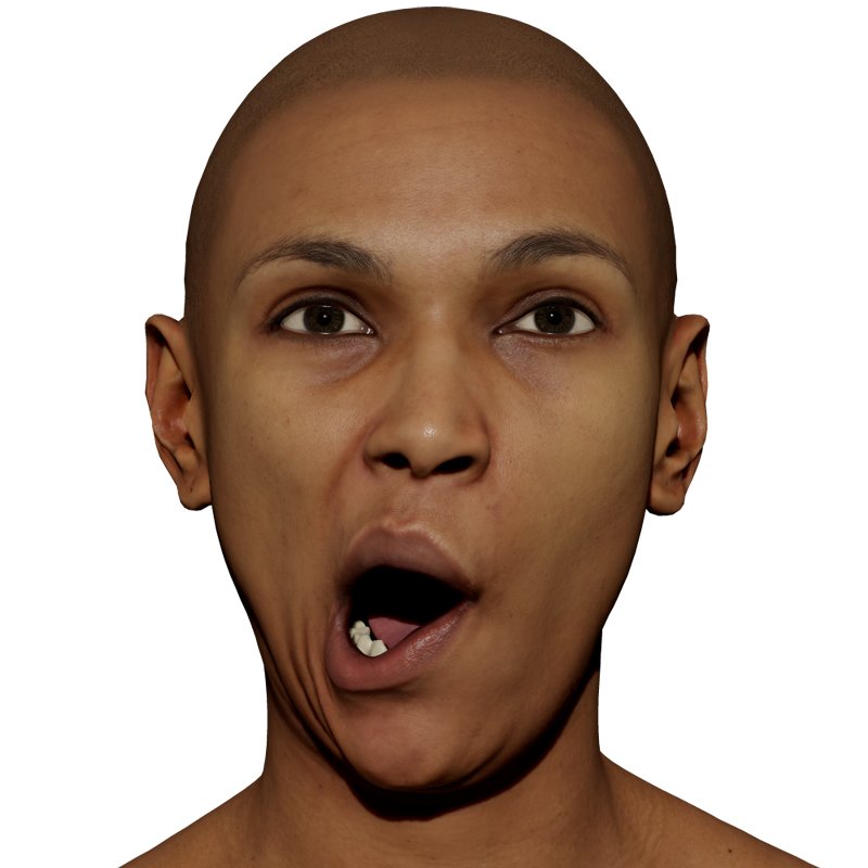 Expression Scan / Mouth Open Right / Retopologised Female 01 