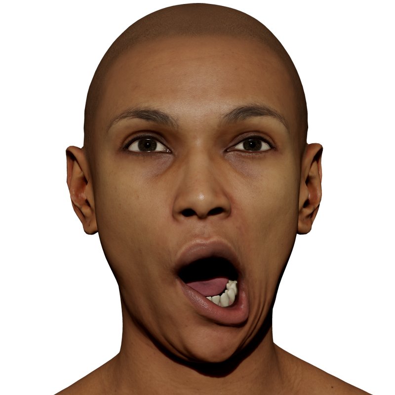 expression 3D Scans