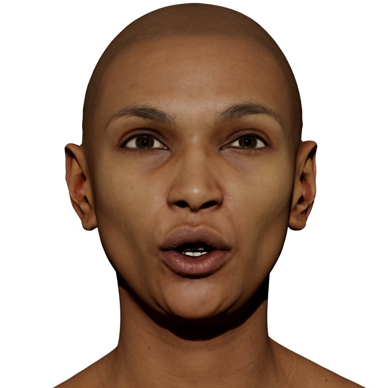 expression 3D Scans