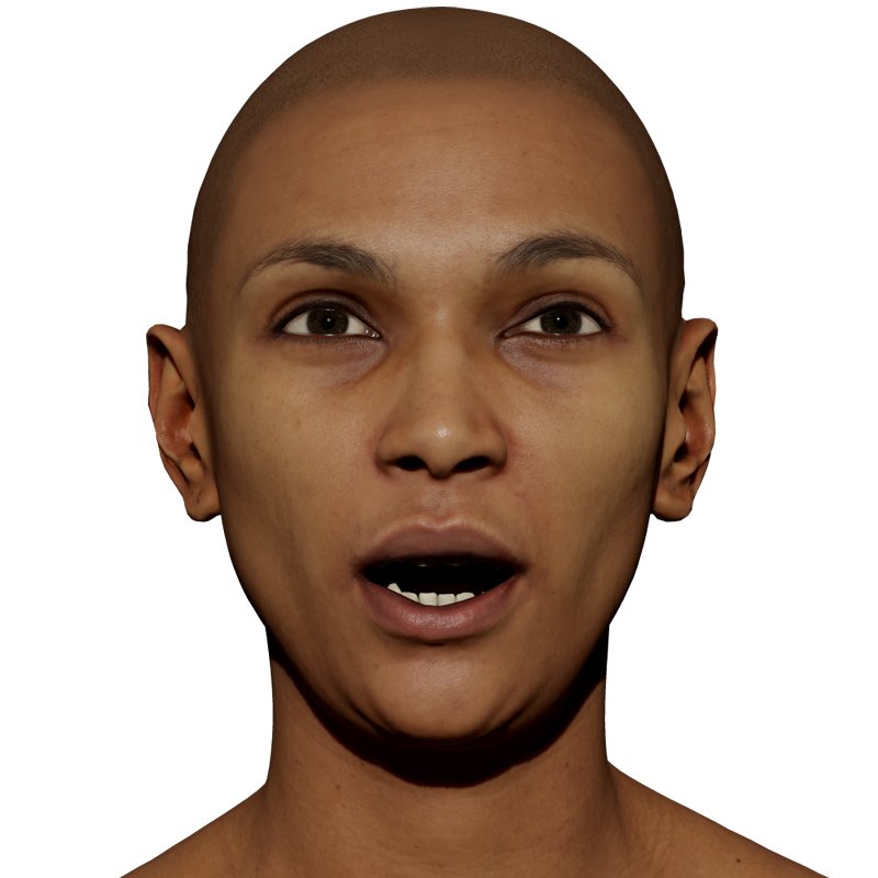 Expression Scan / Phoneme LL / Retopologised Female 01 