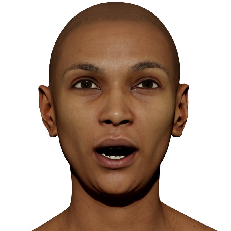 expression 3D Scans