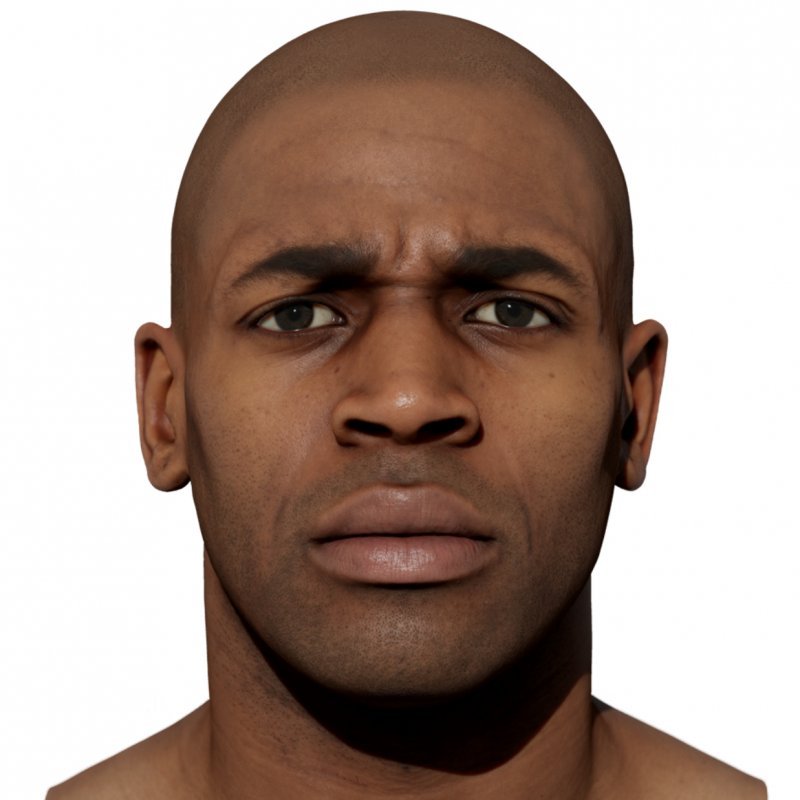 Expression Scan / Brows Down / Retopologised Male 01 