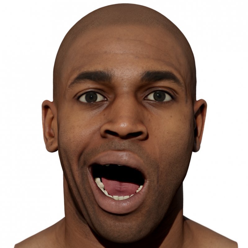 Expression Scan / Mouth Open Right / Retopologised Male 01 