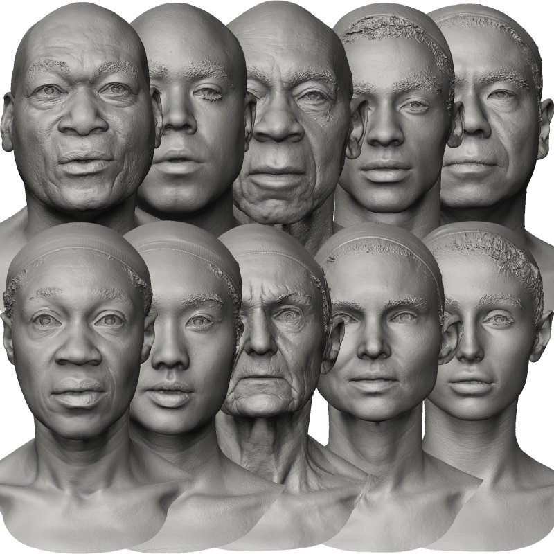Male and Female 3D Head Models Created Using 3d Scans