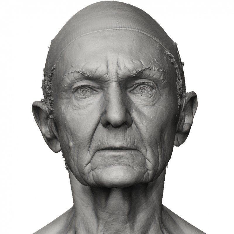 Female Face Shape / 3D Head Scan 03