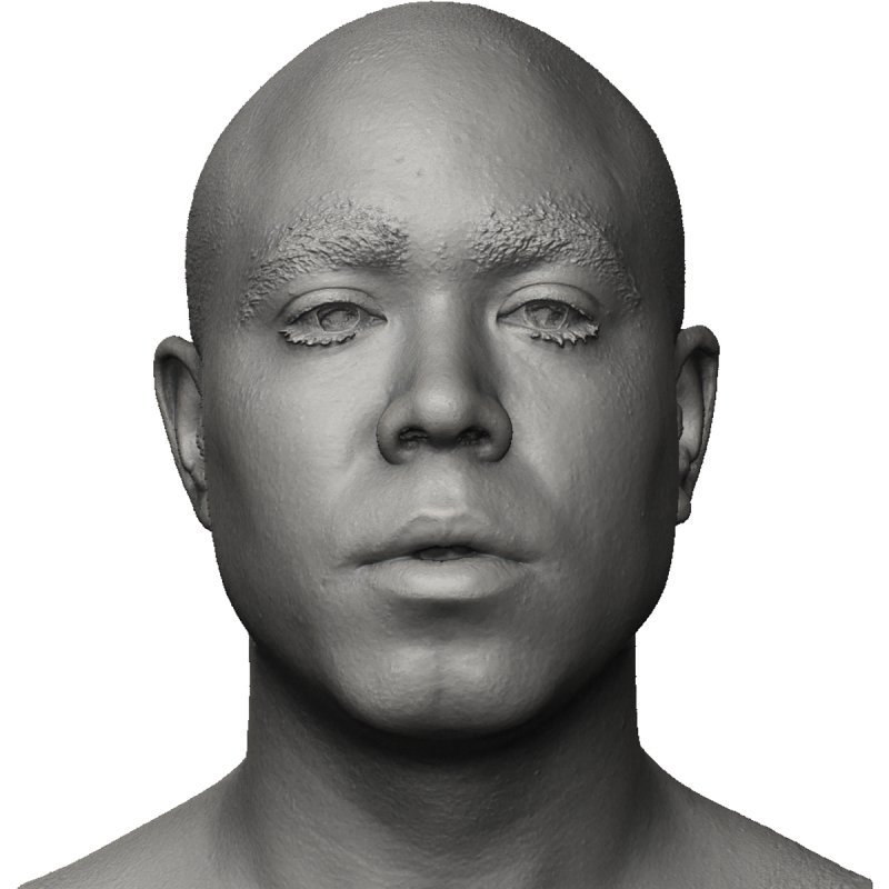 Male Face Shape / 3D Head Scan 01