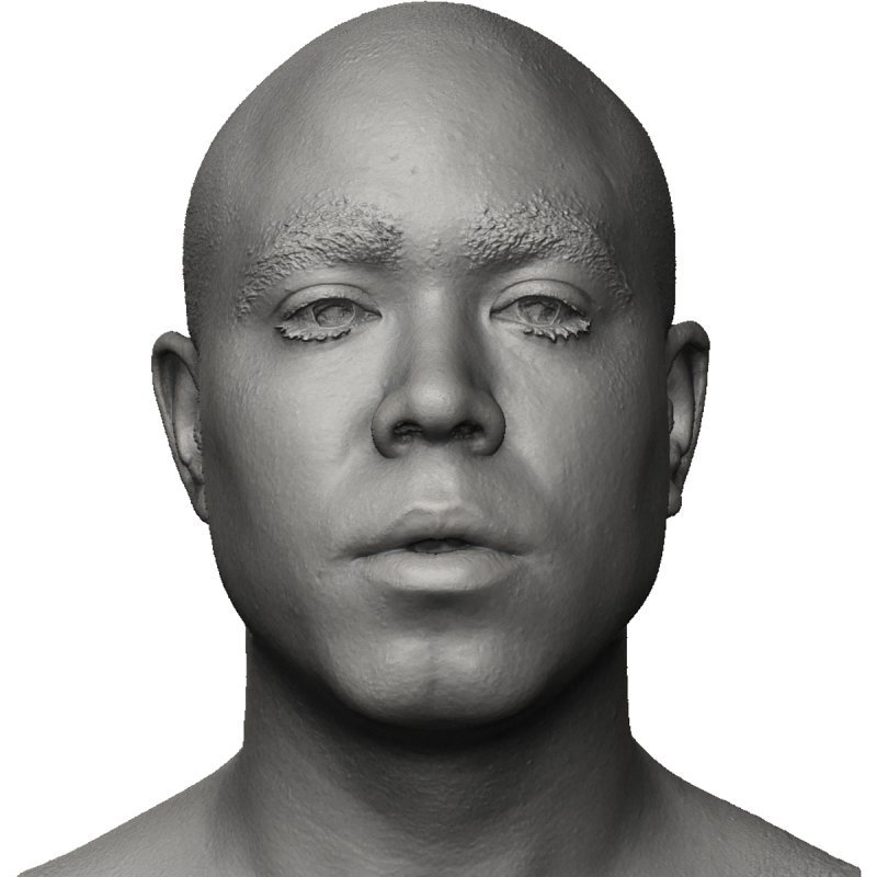 Male Face shape / 3D Head Scan 01