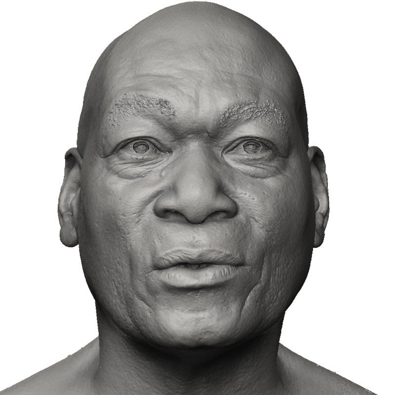 Male Face Shape / 3D Head Scan 02