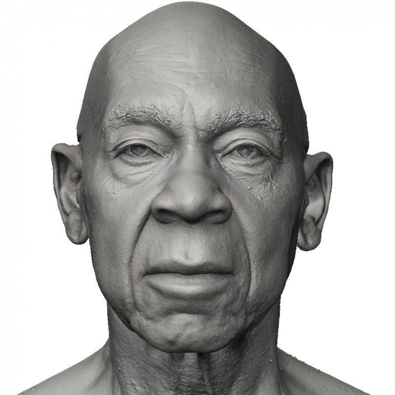 Male Face shape / 3D Head Scan 03