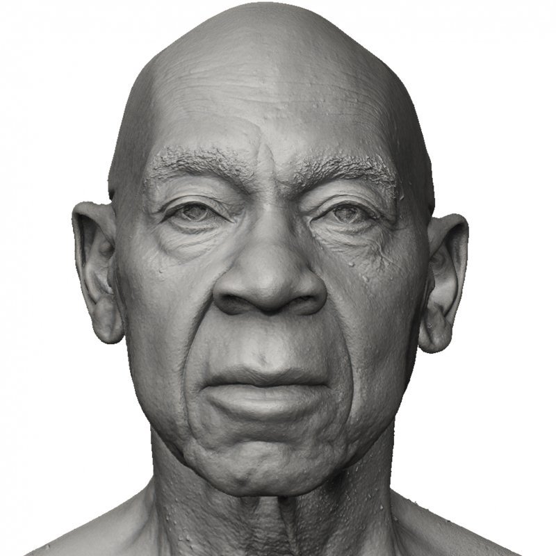 Male Face Shape / 3D Head Scan 03