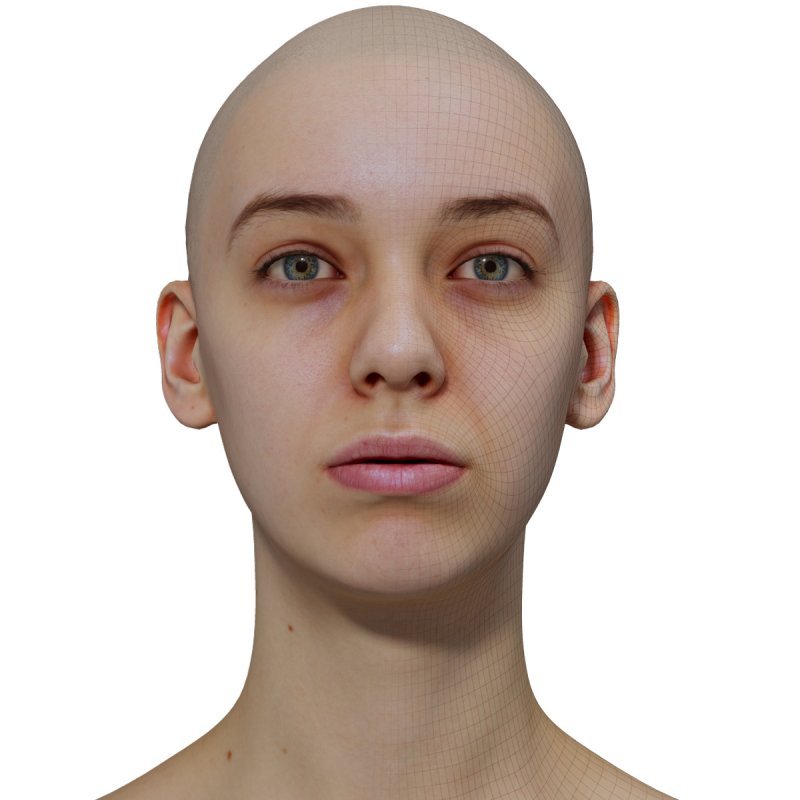 Female 3D model / Retopologised Head Scan 012