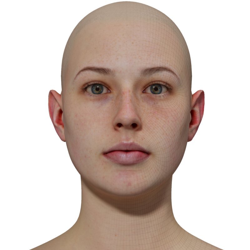 Female 3D model / Retopologised Head Scan 013