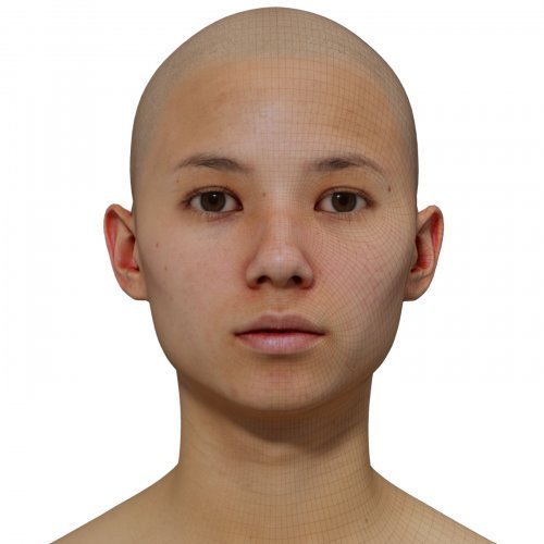 Female 3D model / Retopologised Head Scan 015