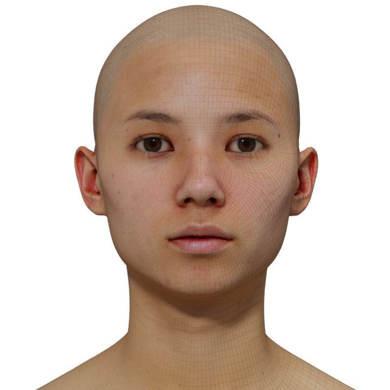 Female 3D model / Retopologised Head Scan 015