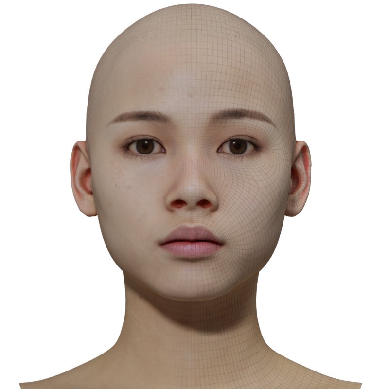 Female 3D model / Retopologised Head Scan 019