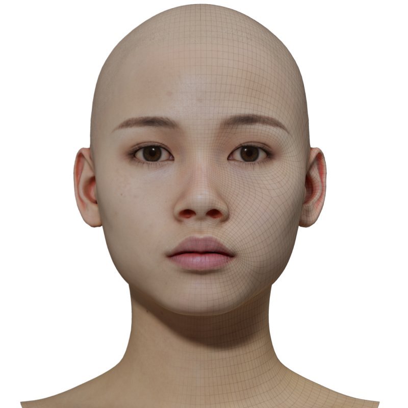 3D Female Model / Retopologised