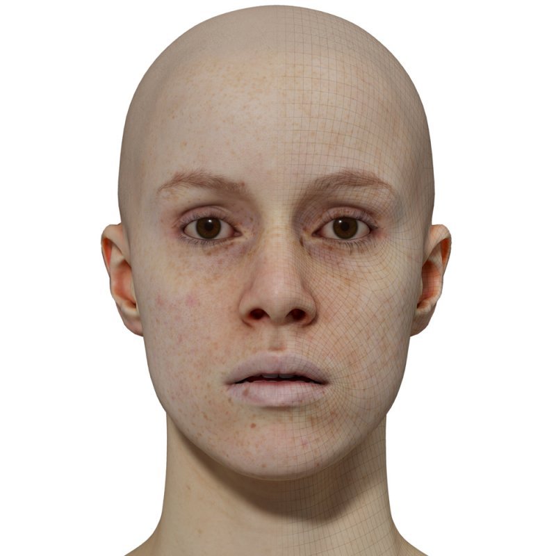 Female 3D model / Retopologised Head Scan 26