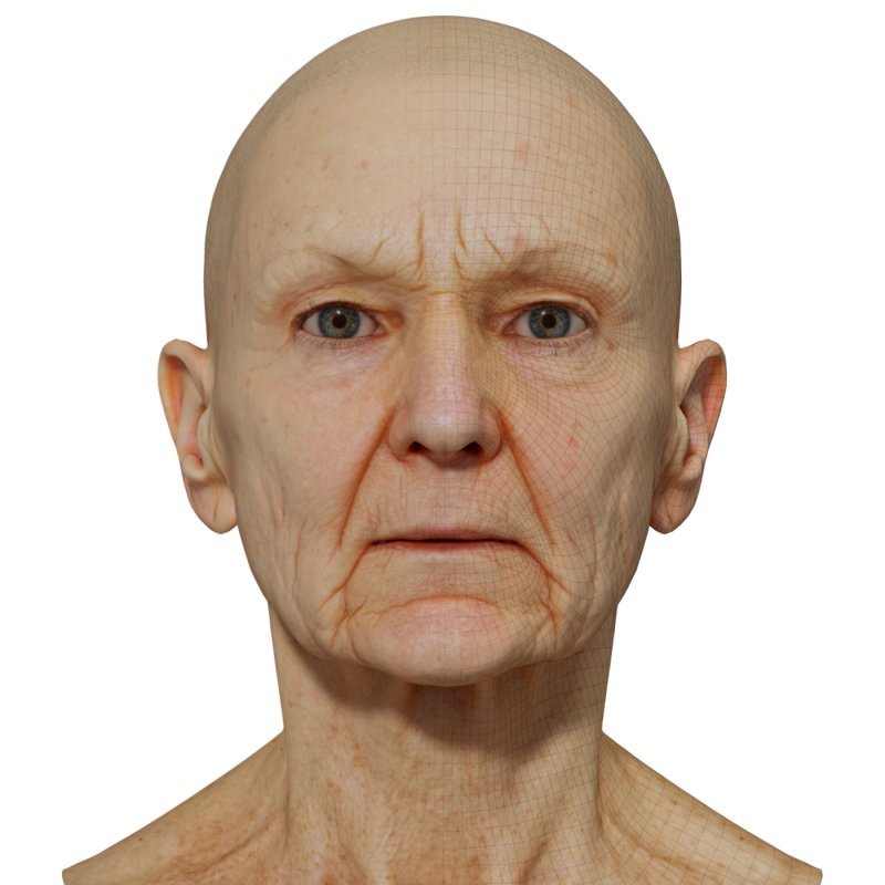 Female 3D model / Retopologised Head Scan 028