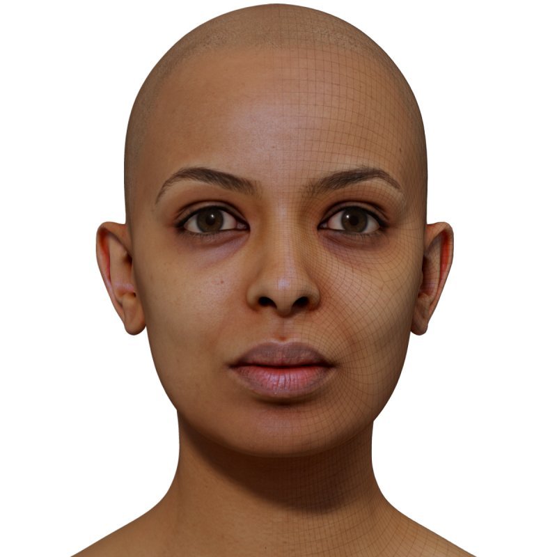 Female 3D model / Retopologised Head Scan 029