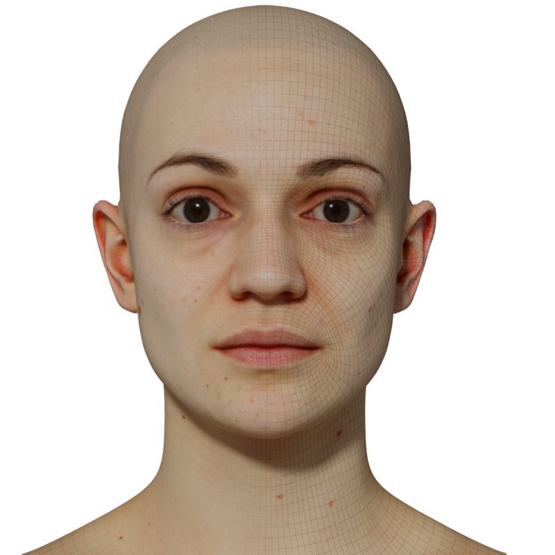 3D Female Model / Retopologised