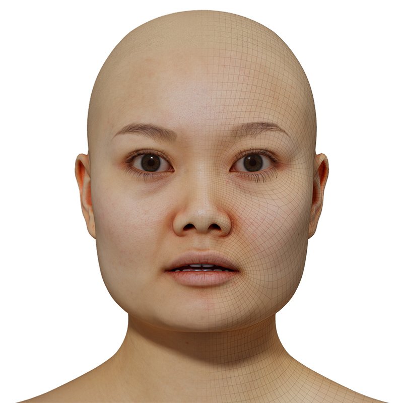 Female 3D model / Retopologised Head Scan 035