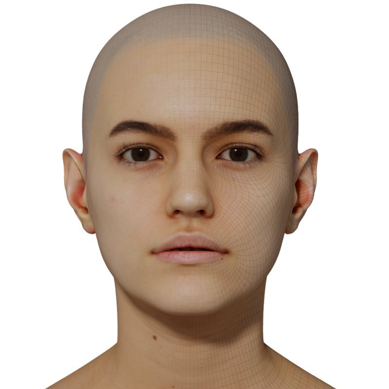 3D Female Model / Retopologised