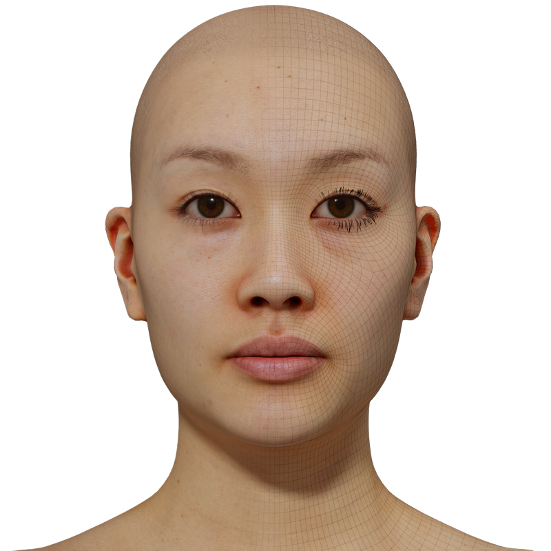 Female 3D model / Retopologised Head Scan 40