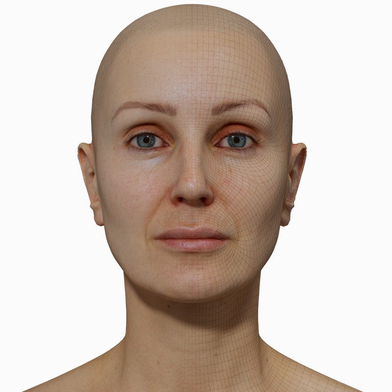 3D Female Head Model download