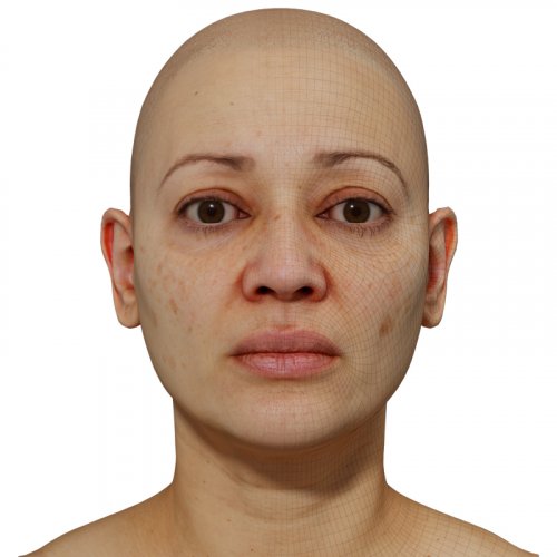Female 3D model / Retopologised Head Scan 43
