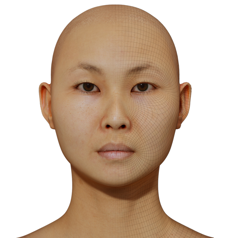 3D Female Head Model download