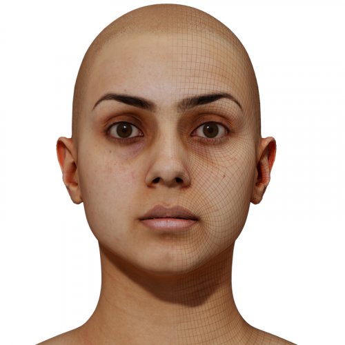 Female 3D model / Retopologised Head Scan 45