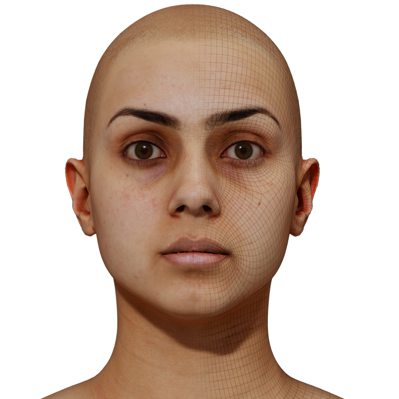 3D Female Head Model download