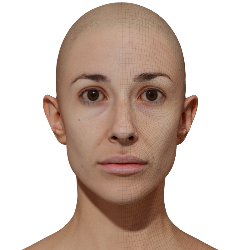 3D Female Head Model download