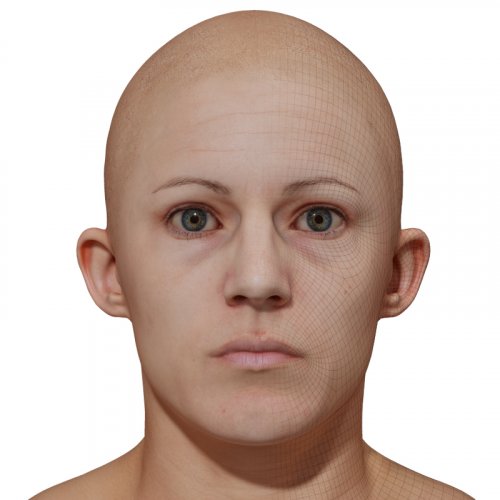 Female 3D model / Retopologised Head Scan 49