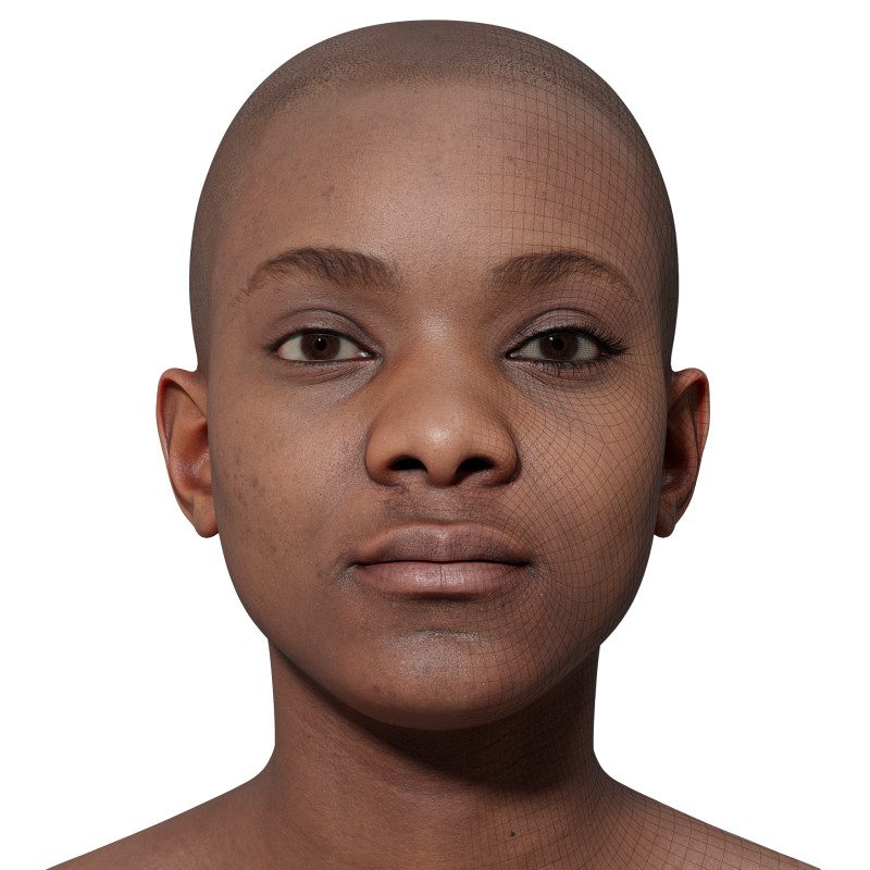 3D Female Head Model download