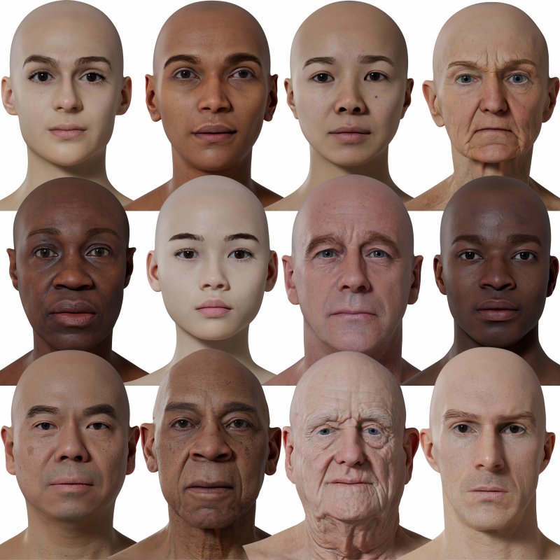 Male and Female HD Head Bundle / 12 x HD Head Scans