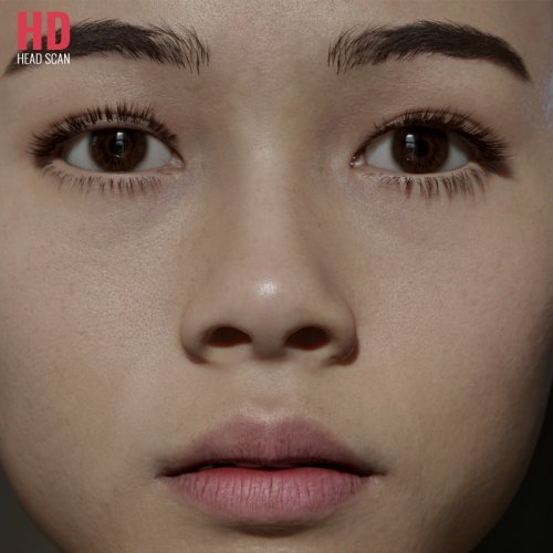 HD Female Head Model 06