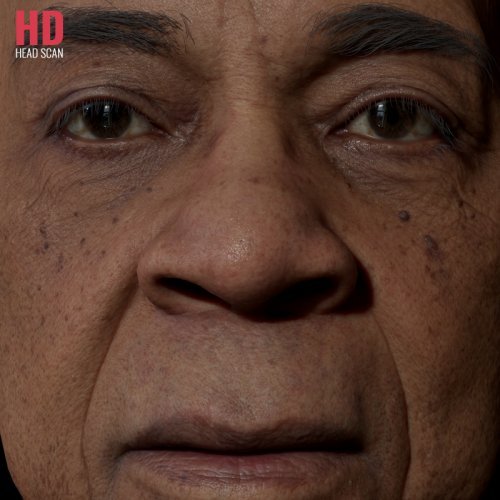 HD Male Head Model 04
