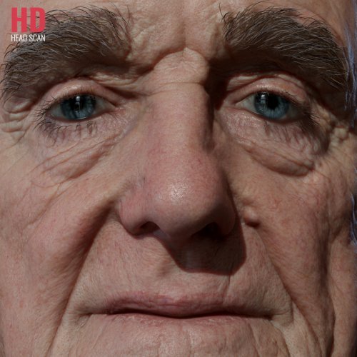 HD Male Head Model 05