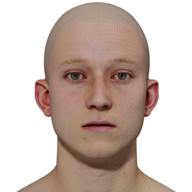 Male 3D model / Retopologised Head Scan 02
