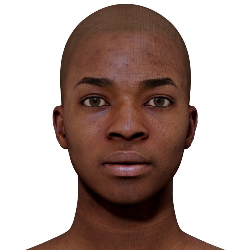 Male 3D model / Retopologised Head Scan 04